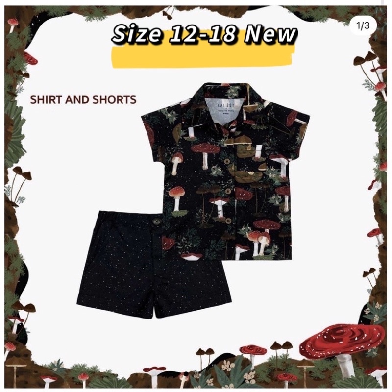 New !! Babylovett shirt &amp; shorts no. 6 size 12-18
