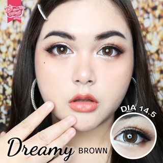 Dreamy/always/monday gray Brown kitykawaii