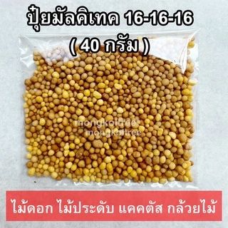 ปุ๋ยละลายช้า มัลติเทค สูตรเสมอ 16-16-16 (แบ่งบรรจุ) ปุ๋ยไม้ฟอกอากาศ ปุ๋ยแคคตัส ปุ๋ยออสโมโค้ท