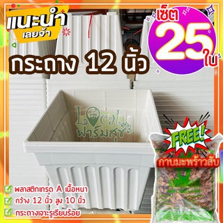 เซ็ต 25 ใบ กระถางต้นไม้ 12” 🔸ฟรีกาบมะพร้าวสับ กระถางขาว กระถางปลูกต้นไม้ กระถางกุหลาบ กระถางปลูกบอน กระถางใหญ่ เนื้อดี