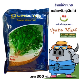 CHIATAI  ผักชี เจียไต๋ โลตัส ตราเครื่องบิน ขนาด 300 กรัม ผักชี ผักสวนครัว เมล็ดพันธ์ เมล็ดผักชี เมล็ดพันธุ์ผักชีบ้านและส