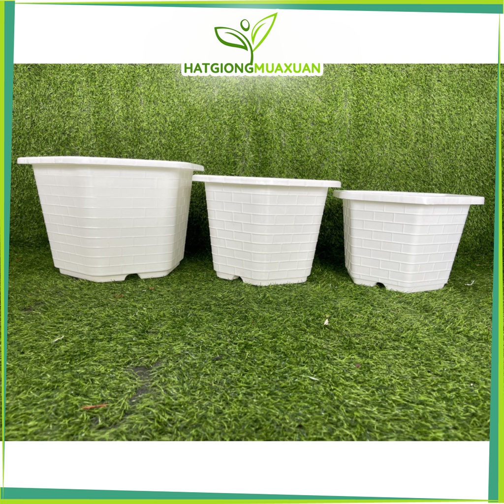 ชุดอ่างหกเหลี่ยม 5c FA 350 Fa380 Fa450 FA480 สีขาว