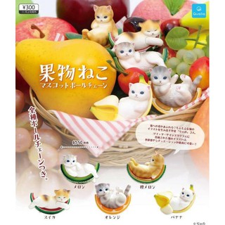 กาชาปองโมเดลFruit Neko Cat Charm(งานญี่ปุ่น)