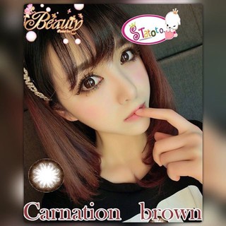 carnation Brown TATOTO Contact Lenses คอนแทคเลนส์ #87