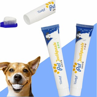 ราคายาสีฟัน ทำความสะอาดปากและฟัน เพื่อสุขภาพ สำหรับสุนัข
