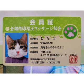 Nameneko Japanese Cat Card Rare by Satoru Tsuda 1980s ชุดที่ 11