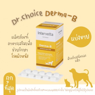 (แบ่งขาย)Dr.Choice Derma-B อาหารเสริมบำรุงผิวหนัง บำรุงขน สุนัข แมว(สีเหลือง)