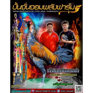 ✅ลดพิเศษ⭐🏆ทายาทเยียร์แสนมูเซอดำ+สายลม ส.มีสุวรรณ 100%ไข่เชื้อไก่ชนสายพันธุ์เงินล้านสำหรับฟัก ไข่เก็บสดภายใน1-2วัน รอส่ง
