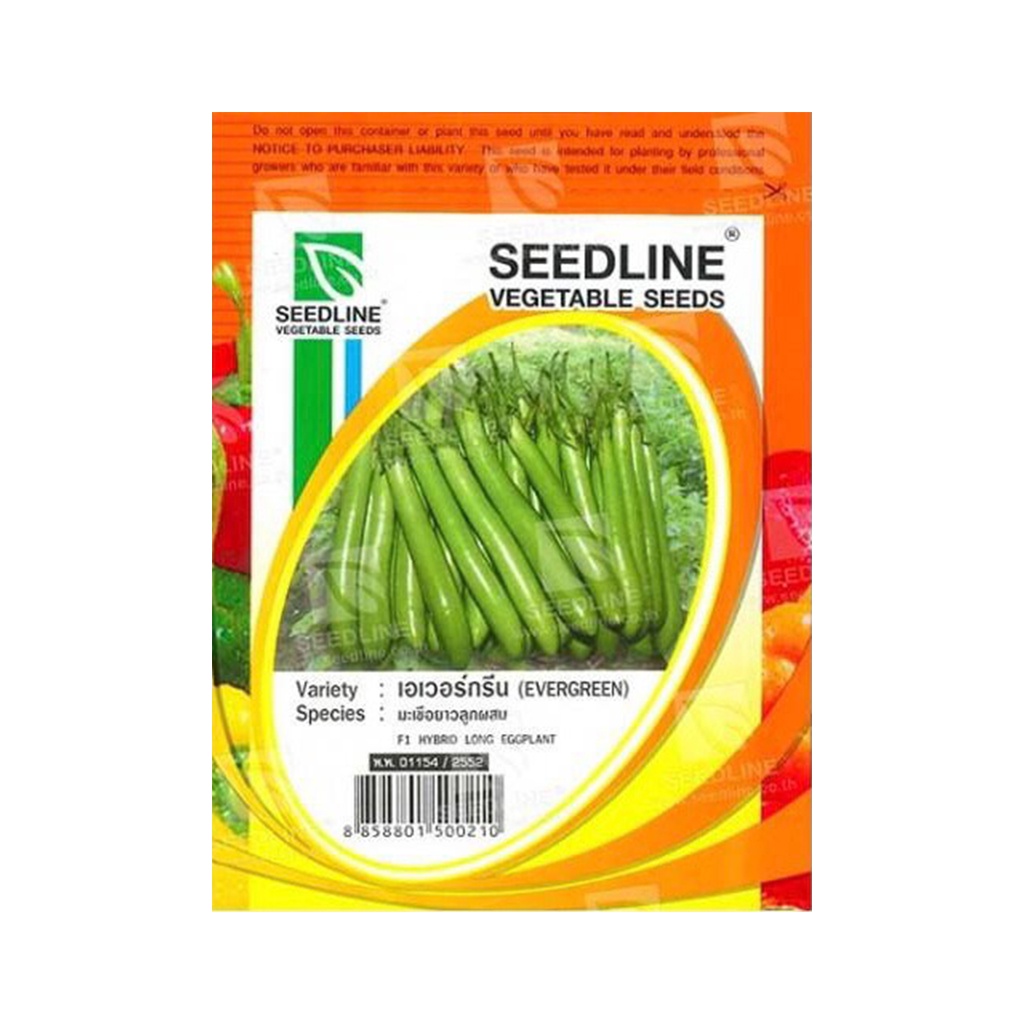 (พร้อมส่ง) SEEDLINE - เมล็ดมะเขือยาวลูกผสม (เอเวอร์กรีน)