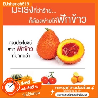 น้ำมันฟักข้าว + น้ำมันอัลมอนด์+คอลลาเจนนำเข้าจากประเทศญี่ปุ่น เข้มข้น 📌 เซ็ต : 5 กระปุก📌