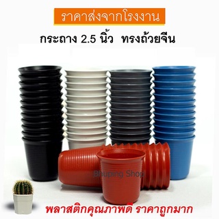 กระถางพลาสติก กระถางถ้วยจีน 2.5นิ้ว (ชุด 20 ฟรี 5ใบ) ขายถูก ส่งฟรีทั่วไทย | กระถางต้นไม้ กระถางแคคตัส กระถางมินิมอล