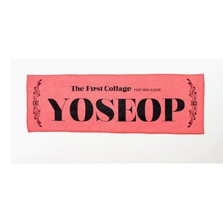 YOSEOP (Beast) ผ้าเชียร์โลโก้ (Slogan Towel) ของแท้จากเกาหลี Official Goods KPOP