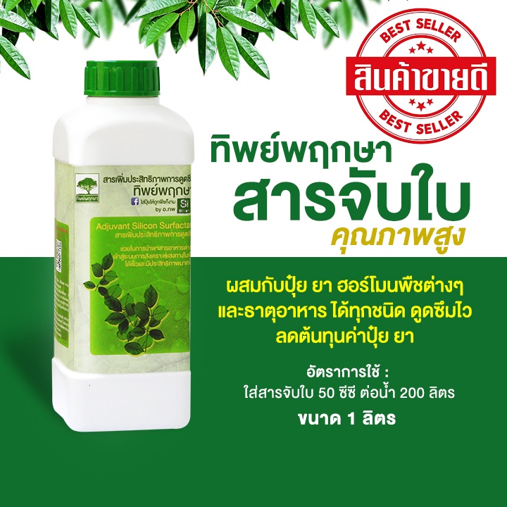 สารจับใบ ยาจับใบ จับใบ หรือ สารเสริมประสิทธิภาพการดูดซึมทิพย์พฤกษา ของแท้ 100% **ขนาด 1 ลิตร