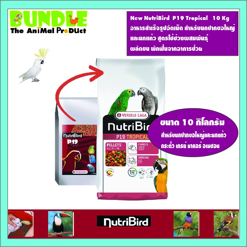 New NutriBird  P19 Tropical   10 Kg อาหารสำเร็จรูปอัดเม็ด สำหรับนกปากขอใหญ่  และนกแก้ว สูตรใช้ช่วงผส