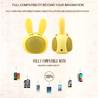 Mini speaker Bluetooth