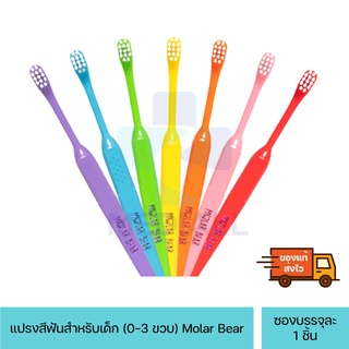 Molar Bear แปรงสีฟันเด็ก ขนนุ่ม หัวแปรงขนาดเล็ก คละสี