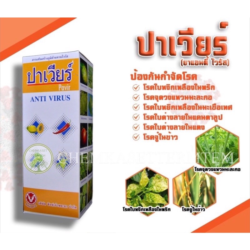 ปาเวียร์ ยาสร้างภูมิต้านทานไวรัส โรคใบหงิกเหลืองในพริก โรคจุดวงแหวนมะละกอ ถั่ว มะเขือเทศ