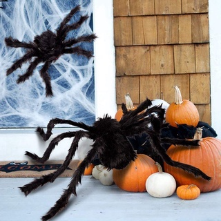 แมงมุมปลอม แมงมุมตกแต่ง แมงมุมฮาโลวีน แมงมุม ฮาโลวีน ของตกแต่งฮาโลวีน Fake Spider / Halloween Decorations