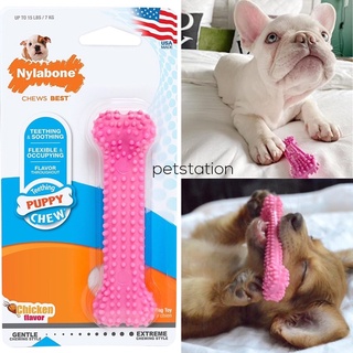 Nylabone Teething Chew ของเล่นขัดฟัน