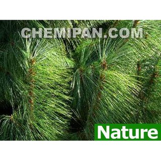 [CHEMIPAN] น้ำมันหอมระเหย สน (Pine Essential Oil) 25g.