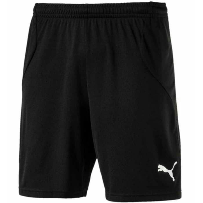 PUMA MENS SPORTS SHORTS/ RUNNING/ FITNESS/ GYM