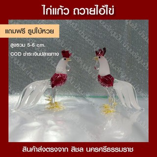 ไก่แก้วไก่เป่าแก้วถวายแก้บนไอ้ไข่คู่ละ199บาทแถมฟรีธูปหวยไอ้ไข่3แท่งCODชำระเงินปลายทาง