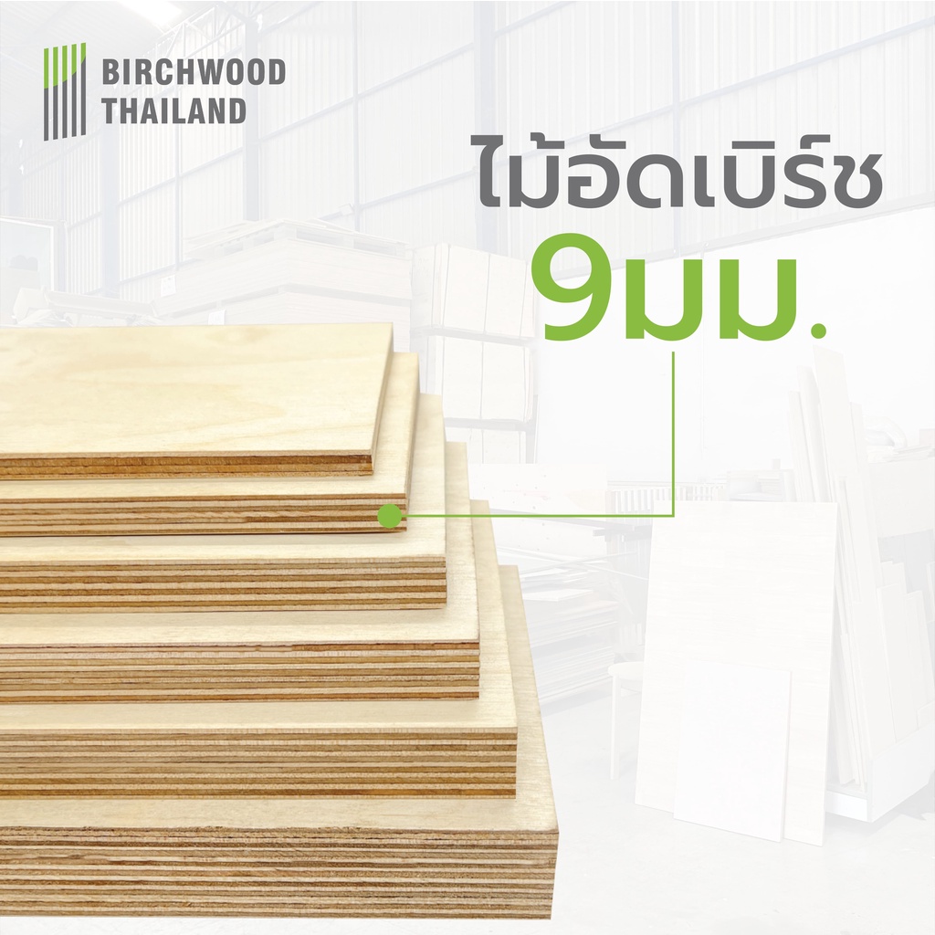 ไม้อัดเบิร์ช เกรดพรีเมี่ยม สวยสองหน้า หนา 9มม. Baltic Birch Plywood Birchwood Thailand