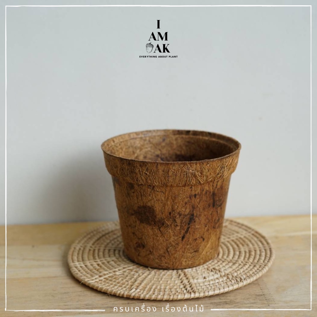 มุมมอง 3