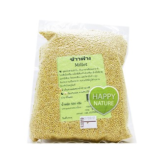 ข้าวฟ่าง Millet 500g * มีเปลือก * ฟื้นฟูผู้ป่วย สำหรับต้มน้ำอาร์ซี ไม่เหมาะทำอาหารหรือขนมหวาน