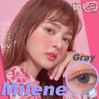 Milene Gray (1)(2) Kitty Kawaii คอนแทคเลนส์ Contact lens สายตาสั้น ค่าสายตา สีเทา ขอบฟุ้ง โทนฝรั่ง ค่าอมน้ำสูง -3.75