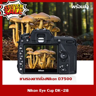 ยางรองตากล้องNikon D7500 Nikon Eye Cup DK-28