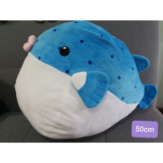 ตุ๊กตา ปลาปั้กเป้า มือ2 พร้อมส่ง