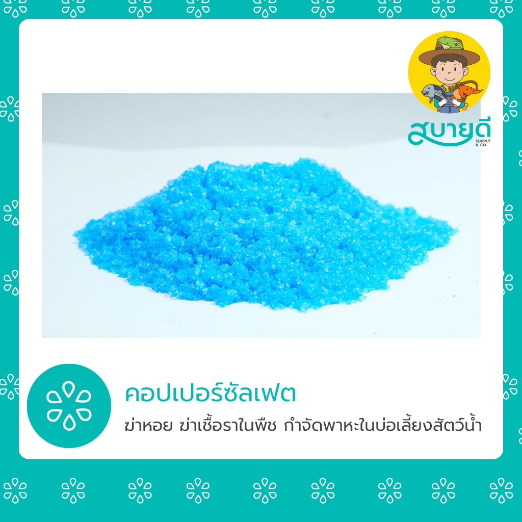 คอปเปอร์ซัลเฟต 1 กก คอปเปอร์ ทองแดง🦠🌡️ CuSO4 กำจัดหอย ฆ่าเชื้อรา กำจัดพาหะ ปรับสภาพน้ำ บ่อปลา บ่อกุ้ง สัตว์น้ำทุกประเภท