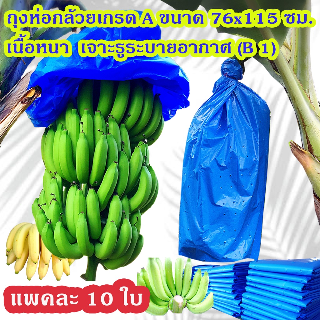 แพคละ 10 ใบ ถุงห่อกล้วย ถุงห่อกล้วยหอม คุณภาพดีที่สุด ขนาด 76 x 115 ซม. เนื้อหนา ใช้ซ้ำได้หลายรอบ ราคา 80 บาท