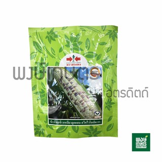 เมล็ดพันธุ์ข้าวโพดข้าวเหนียวลูกผสมสวีทไวโอเล็ทF1 (200 กรัม) เมล็ดพันธุ์ผัก เมล็ดพันธุ์พืช ผักสวนครัว พรรณไม้ พงษ์เกษตร