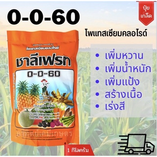 ปุ๋ยเกล็ด สูตร 0-0-60 ชาลีเฟรท โพแทสเซียมคลอไรด์ ปุ๋ยเคมีมาตรฐาน น้ำหนัก 1 กิโลกรัม