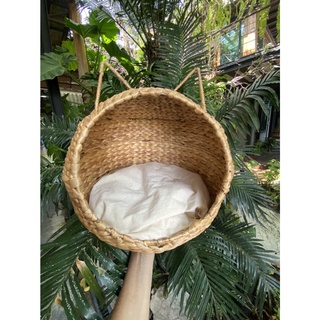 บ้านโดมหวาย สุนัขและแมว ขนาด 15x14 นิ้ว (สีน้ำตาล + พร้อมเบาะ) ตะกร้านอนแมว ที่นอนแมว
