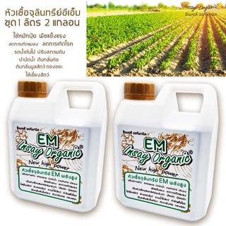 EM Insay (1ลิตร 2 แกลอน)หัวเชื้อจุลินทรีย์อีเอ็มคุณภาพแท้100% ใช้ปรับสภาพดิน  บำรุงพืชผัก บำบัดน้ำ หมักปุ๋ย  ดับกลิ่นท่อ