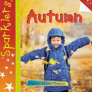 DKTODAY หนังสือ SPARKLERS SEASONS: AUTUMN