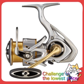 DAIWA LT3000-XH Spinning Reel 21 Freams [Versatile, Seabass, SLJ]