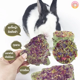 ของเล่นกระต่าย ของเล่นแฮมสเตอร์ แครอทขัดฟัน ไม้ลับฟันจากธรรมชาติ สะอาด ปลอดภัย แทะสนุกทั้งวัน B031