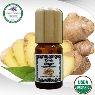 Ginger USDA Organic Essential Oil  生姜エッセンシャルオイルオーガニック น้ำมันหอมระเหยขิง ออร์แกนิค