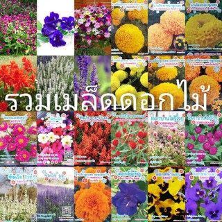 ด่วน!!! เมล็ดดอกไม้ ตราภูเขาทอง ราคาถูกมาก ส่งตรงจากโรงงาน