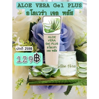 อโลเวร่า ครีม พลัส ALOE VERA CREAM PLUS