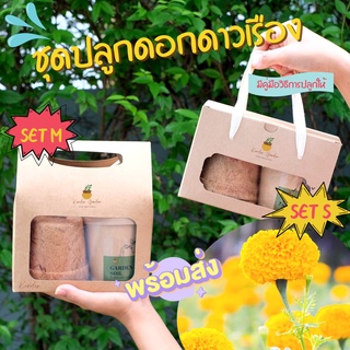 ชุดปลูกดอกไม้ ชุดของขวัญ ชุดพร้อมปลูกดอกดาวเรืองทอง