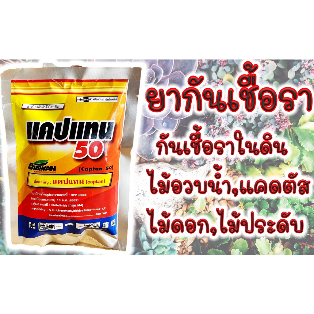 ยา แค ป แทน