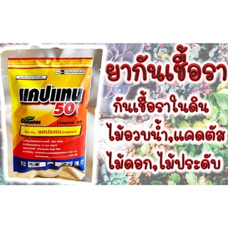 แคปแทน 100 กรัม แคปทาไซด์ 50 สารป้องกันเชื้อรา บรรจุจากโรงงา…