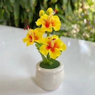 **พร้อมส่ง** ดอกชบาจิ๋ว ดอกชบาแดง ดอกชบาถวายพระพิฆเนศ **กระถางละ 50 บาทเท่านั้น !! **