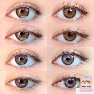 ♡ i-dol lens ♡ canna roze ❀ สายตาปกติ 0.00 ถึง -3.50 ❀