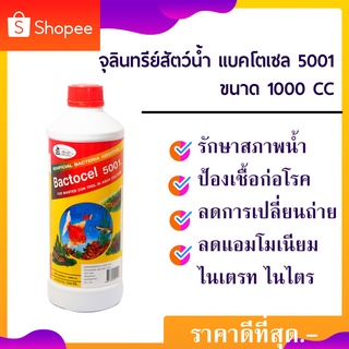 น้ำจุลินทรีย์ รักษาสภาพน้ำในบ่อปลา น้ำใส ลดตะกอน แบคโตเซล 5001 Bactocel 5001 ขนาด 1000cc กลิ่นเหม็นในบ่อปลา บำบัดน้ำ